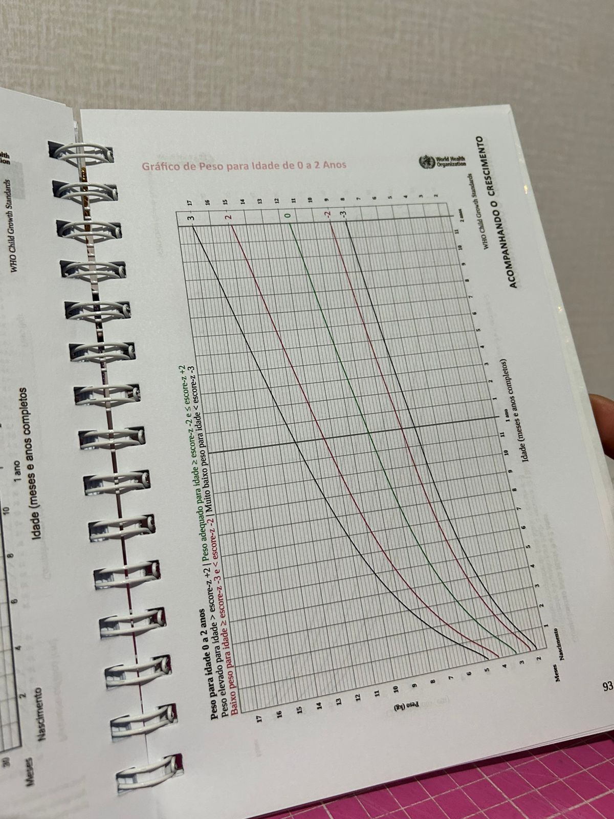 Caderneta de Saúde Personalizada - Floral Lilas - Imagem 4